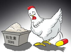 食品抗生素層出不窮，如何檢測？